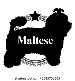 Maltese dog silhouette, dog, dog breeds,  vector, silhouette, logo design, animal, illustration, icon, sign, black, pet