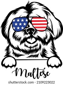 Maltese Dog In Sunglasses Usa Flag Patriotic Dog Vector Image Maltese Silhouette Peeking Dog And Paws Maltese Lovers 