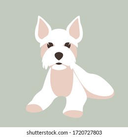 Maltese dog, vector illustration, flat style, front view
