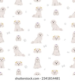 Maltese dogs in different poses seamless pattern. Vector illustration