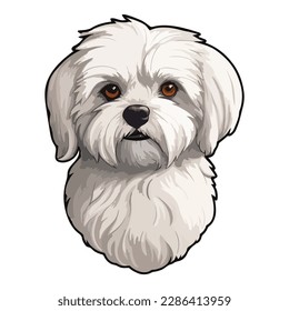 Maltese Lap-dog Flat Icon Isolated On White Background