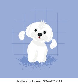 Maltese puppy dog. Pets. White dog