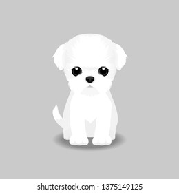 Maltese Puppy Vector Illustration. Dog Isolated