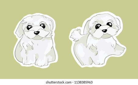 Maltese puppy.White puppy sticker.Lap dog.Children's animals.
