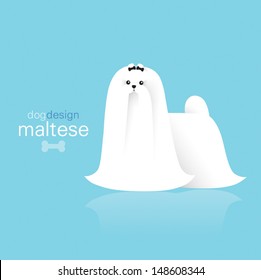 Maltese terrier dog design on color background.