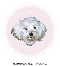 Maltese terrier, low poly design, vector illustration