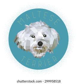 Maltese terrier, low poly design, vector illustration