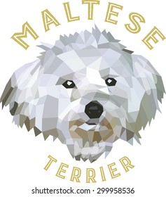 Maltese terrier, low poly design, vector illustration
