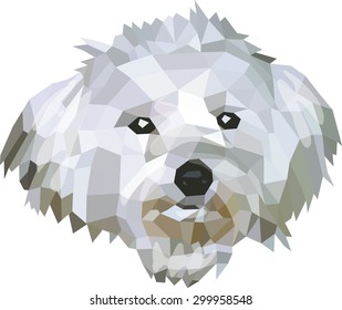 Maltese terrier, low poly design, vector illustration