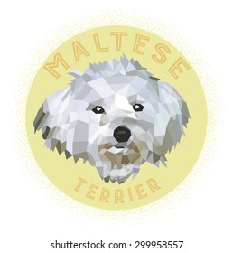 Maltese terrier, low poly design, vector illustration