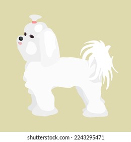 Maltese, toy dog - stylized hand drawn vector illustration. Flat color design.
