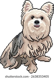 Maltese-Yorkie mix dog in pixel art style