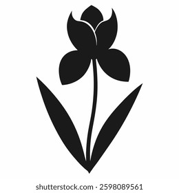 Malti flower vector Silhouette  on white background 