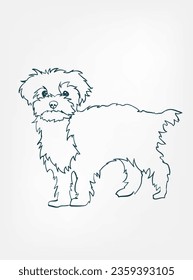 Maltipoo dog breed animal vector line art one line sketch outline