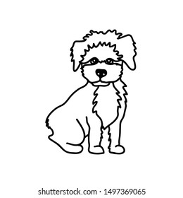 Maltipoo dog breed vector illustration. Cute miniature pet sitting, full body. Black and white drawing of a lovely puppy.