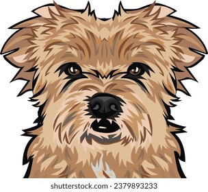 Maltipoo Cara de perro aislada ilustración vectorial