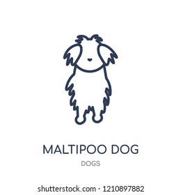 Maltipoo dog icon. Maltipoo dog linear symbol design from Dogs collection. Simple outline element vector illustration on white background.