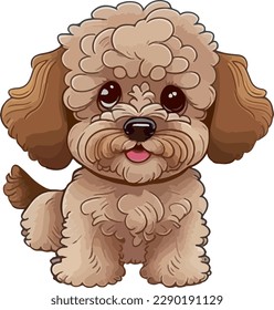 Maltipoo dog multicolor vector illustration isolated on white background