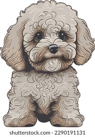 Maltipoo dog multicolor vector illustration isolated on white background