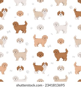 Maltipoo seamless pattern. Maltese Poodle mix. Different coat colors set.  Vector illustration