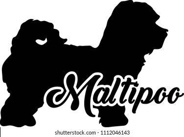 Maltipoo silhouette real with word 