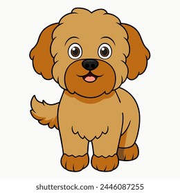 Ilustración vectorial de maltipoo aislada sobre fondo blanco en estilo de dibujos animados.