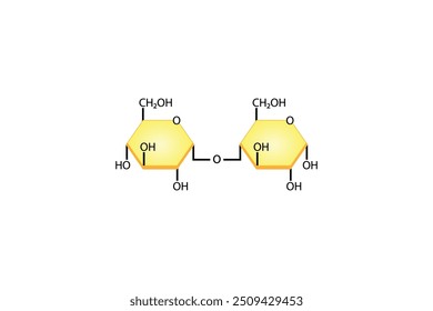 Maltose Disaccharide Molecule. Glucose Sugar units. Scientific Diagram. Vector Illustration.