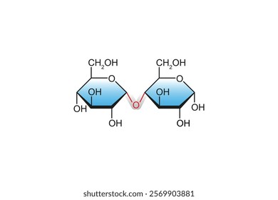 Maltose Sugar Molecule Science Design. Vector Illustration.
