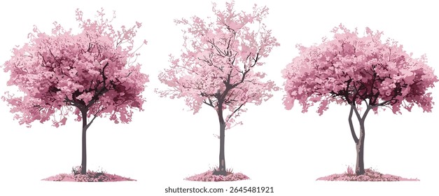 Malus micromalus Kaido Crab Apple tree set transparent background, vector illustration, flowering orchard trees, spring bloom, garden fruit tree, natural landscape, tree silhouette.