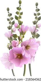 Malva flower symbol of Ukraine