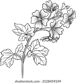 Planta de Malva con flores Ilustración de contorno