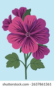Malva sylvestris or common mallow illustration on a blue background