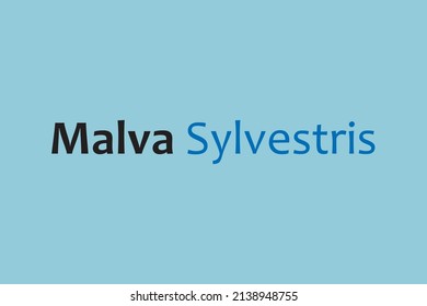 Malva Sylvestris medicinal element typography text vector design. Medical science conceptual poster, banner,  and t-shirt design.