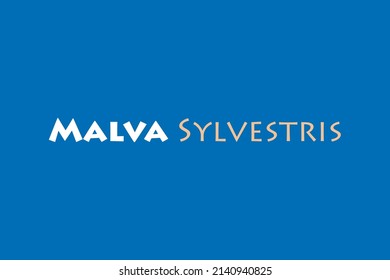 Malva Sylvestris medicinal element typography text vector design. Medical science conceptual poster, banner,  and t-shirt design.