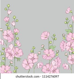 Malva sylvestris. Wild pink mallow. Wildflowers. Flowering in summer, medicinal plants.