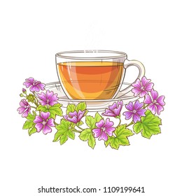 malva tea illustration