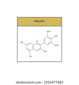 Malvidin skeletal structure diagram.anthocyanin compound molecule scientific illustration.
