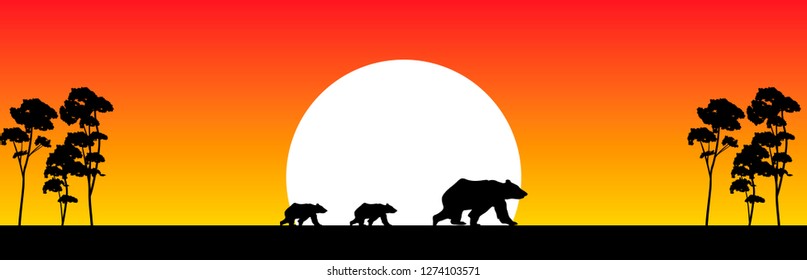 mama bear with cubs walking at sunset vector nature illustration