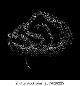 mamba hand drawing vector isolated on black background.