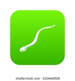 Mamba snake icon green vector isolated on white background