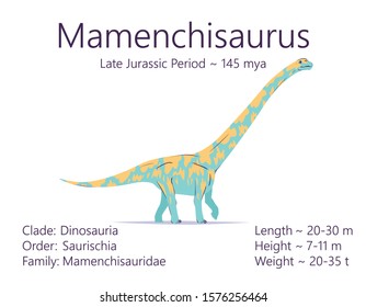 Mamenchisaurus. Sauropodomorpha dinosaur. Colorful vector illustration of prehistoric creature mamenchisaurus, description of characteristics, period of life isolated on white background. Fossil dino.