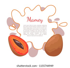 Mamey exotic juicy fruit vector poster frame and text. Edible food, dieting vegetarian banner. Mammea americana, mammee apple, mamey, tropical apricot