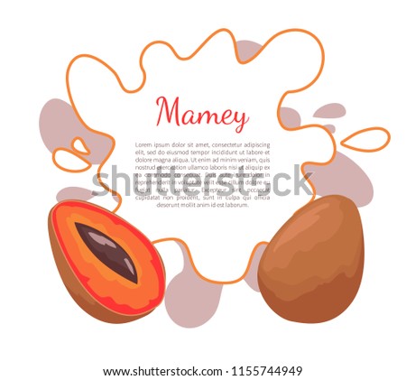 Mamey exotic juicy fruit vector poster frame and text. Edible food, dieting vegetarian banner. Mammea americana, mammee apple, mamey, tropical apricot