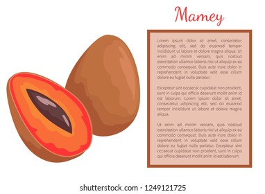 Mamey Fruit Images Stock Photos Vectors Shutterstock