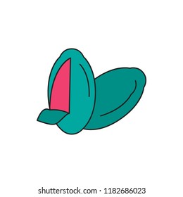 Mamey icon. Cartoon mamey vector icon for web design isolated on white background
