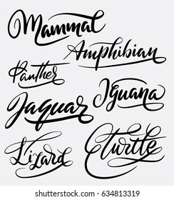 Mammal and amphibian hand written typography. Good use for logotype, symbol, cover label, product, brand, poster title or any graphic design you want. Easy to use or change color 