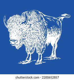 Mammal Animal Tail Bison Wild Large Standing Horns Buffalo Fur Wildlife Vector