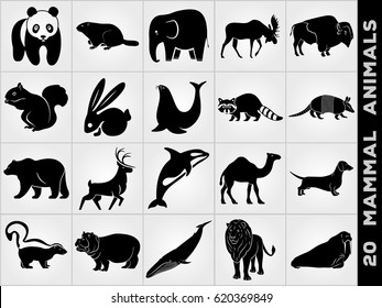 Mammal Animals. Rabbit, Deer, Elephant , Sea lion, Grampus, Groundhog, Bear, Squirrel, Moose, Raccoon, Camel, Skunk, Hippopotamus, Whale, Lion, Buffalo, Armadillo, Dachshund dog, Walrus,Panda icons