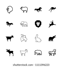 Mammal icon. collection of 16 mammal filled and outline icons such as moose, horse, bear, lion, sheep, hippopotamus, deer, kangaroo. editable mammal icons for web and mobile.