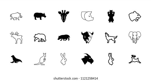 Mammal icon. collection of 18 mammal filled and outline icons such as giraffe, goat, hippopotamus, bear, panther, deer, wolf, rabbit. editable mammal icons for web and mobile.